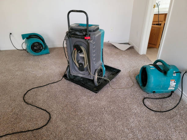 Carpet water damage restoration in Thorndale, TX