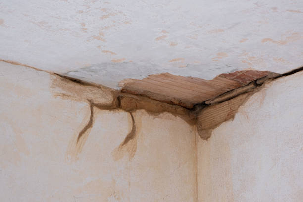Professional Water damage restoration in Thorndale, TX