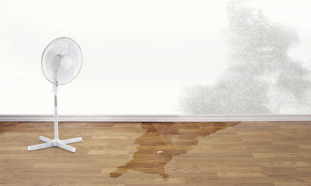 Best 24-hour water damage restoration  in Thorndale, TX