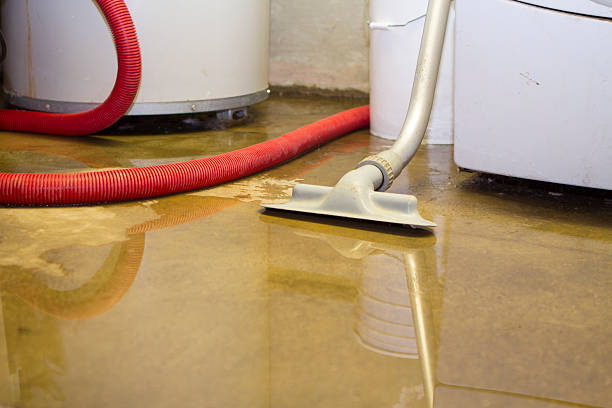 Best Carpet water damage restoration  in Thorndale, TX
