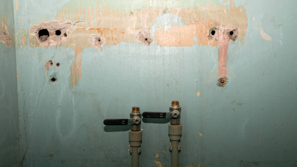 Best Water damage cleanup near me  in Thorndale, TX
