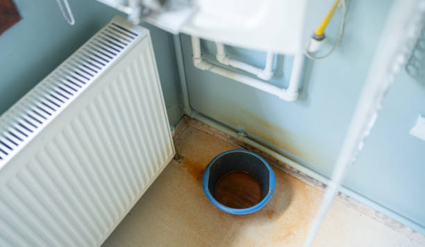 Best Professional water damage repair  in Thorndale, TX