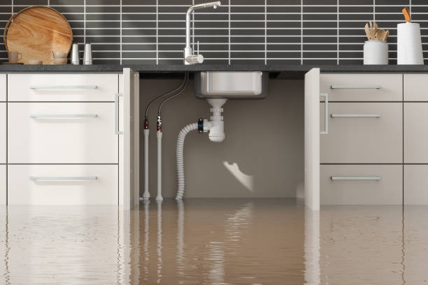 Best Professional water damage repair  in Thorndale, TX