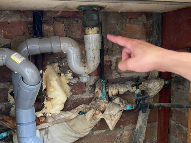 Best Professional water damage repair  in Thorndale, TX