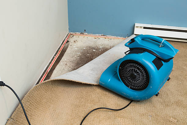 Best Sewage cleanup and water damage restoration  in Thorndale, TX